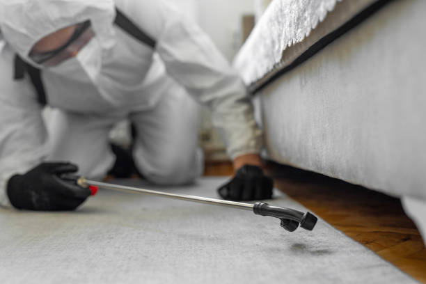 Professional Cockroach Control technician working in Slater, MO
